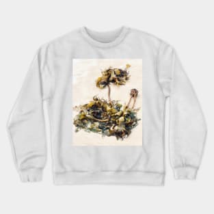 Seaweed Studies Crewneck Sweatshirt